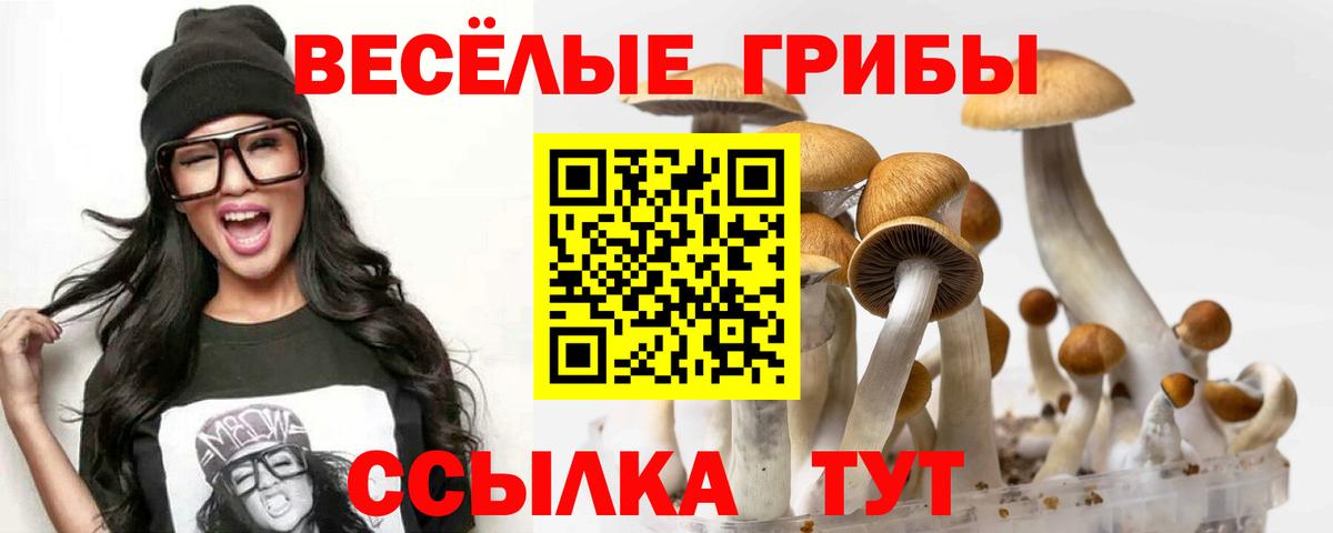 Зерноград  Галлюциногенные грибы Magic Shrooms  Галлюциногенные грибы Psilocybe  Вход с VPN 
